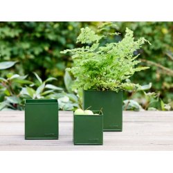 Firkantet urtepotte <br><br> oliven <br><br> St af 3 str. <br><br>