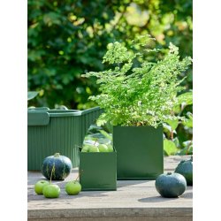 Firkantet urtepotte <br><br> oliven <br><br> St af 3 str. <br><br>