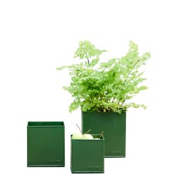 Firkantet urtepotte <br><br> oliven <br><br> St af 3 str. <br><br>