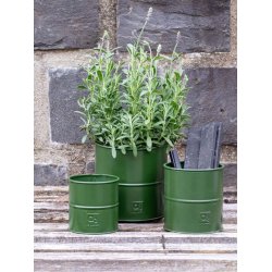 Urtepotter <br><br> oliven <br><br> St af 3 str. <br><br>