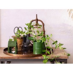 Urtepotter <br><br> oliven <br><br> St af 3 str. <br><br>