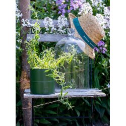 Urtepotter <br><br> oliven <br><br> St af 3 str. <br><br>