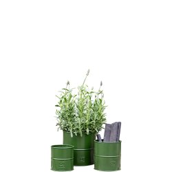 Urtepotter <br><br> oliven <br><br> St af 3 str. <br><br>