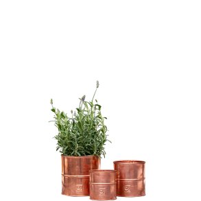 Urtepotter kobber <br><br> st m. 3 strrelser