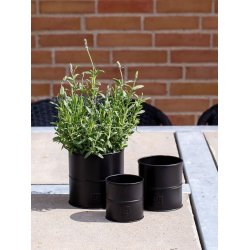 Urtepotter <br><br> sort <br><br> St af 3 str. <br><br>