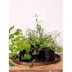 Urtepotter <br><br> sort <br><br> St af 3 str. <br><br>