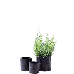 Urtepotter <br><br> sort <br><br> St af 3 str. <br><br>