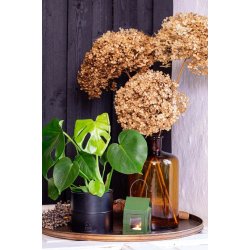 Urtepotter <br><br> sort <br><br> St af 3 str. <br><br>