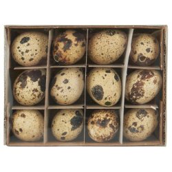 Pustede vagtelg <br> <br> natur <br><br> 12 stk i ske <br><br> 