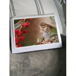 Kort m. kuvert <br><br> 10,5 x 14,8 cm <br><br> V�lg motiv <br><br> 2. SORTERING <br><br>