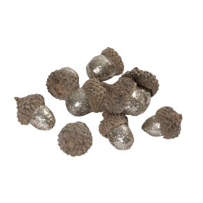 Agern <br><br> Champagne <br><br> ca. 75 g i ps <br><br> 