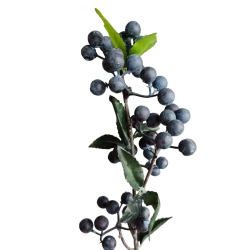 Gren med br <br><br> mrkebl <br><br> L 48 cm