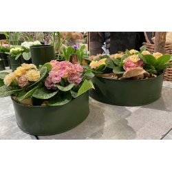 Rund plantebakke <br><br> oliven <br><br> Mini - 25 x H9 cm