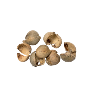 Betel nd natur <br><br> 100 g <br><br> Perfekt til dekorationer