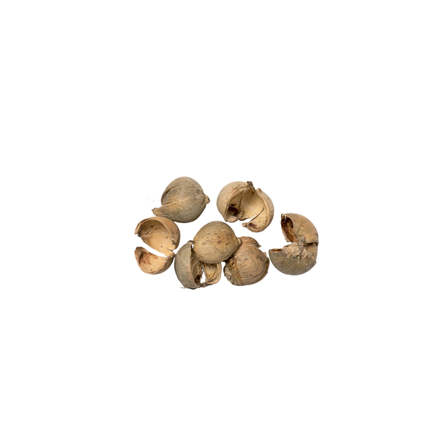 Betel nd natur <br><br> 100 g <br><br> Perfekt til dekorationer