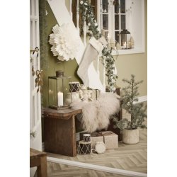 Cedertr i plastpotte <br><br> 60 cm <br><br>