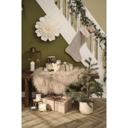 Cedertr i plastpotte <br><br> 60 cm <br><br>