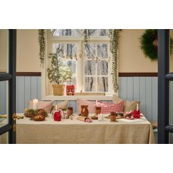 Cedertr i plastpotte <br><br> 80 cm <br><br>