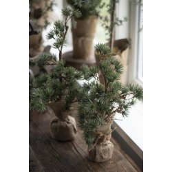 Cedertr m/ jutefod <br><br> 34 cm <br><br>