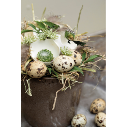 Pustede gseg <br> <br> ca. 8 cm <br><br> 12 stk i ske 