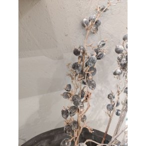 Trret sortebr gren <br><br> Perfekt til dekorationer