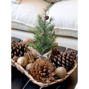 Fad af bark <br><br> vlg variant <br><br> 