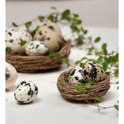 Fuglerede deko <br><br> � 7 <br><br> 