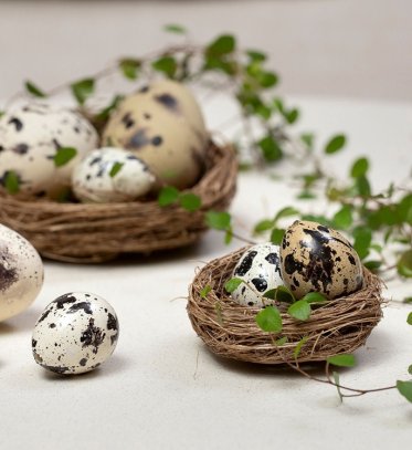 P&aring;ske i Nordiq