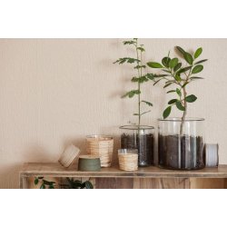 Stage glas <br><br> m. rattanflet <br><br> H: 6,4 / �: 6,4 cm <br><br> RESTSALG <br><br>