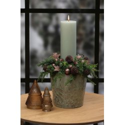 Platyspernum kogler <br><br> 5 stk. <br><br>