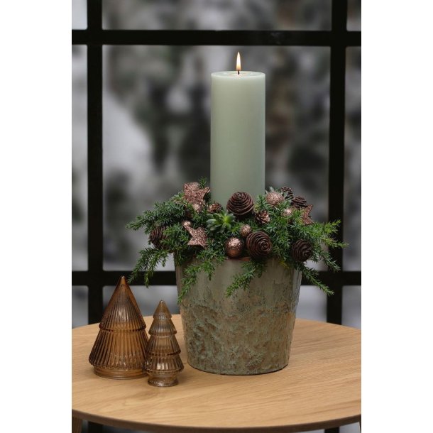 Platyspernum kogler <br><br> 5 stk. <br><br>