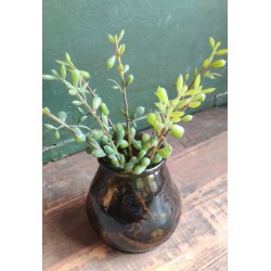 Hurricane <br><br> Genbrugsglas <br><br> h10 cm <br><br> vlg mellem 3 farver