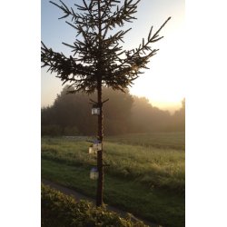 Hnge lanterne m/wire <br><br> 8 x 8 x 12 cm <br><br> Galvaniseret