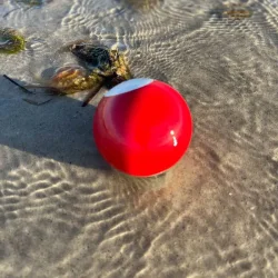 Keramik kugler - Earth <br><br> vlg farve og strrelse <br><br>