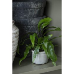 Keramik skjuler <br><br> mini <br><br> krakeleret <br><br> grgrn <br><br>