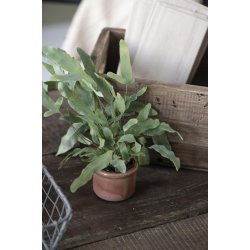 Keramik skjuler <br><br> mini <br><br> krakeleret <br><br> sunset <br><br>