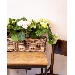 Firkantet rattanbakke <br><br> Kubu  <br><br> ST af 3 str.