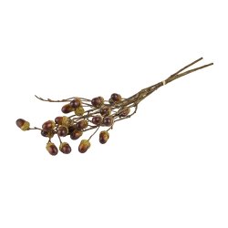 Gren med agern <br><br> 3 stk. i bdt. <br><br> L 56 cm <br><br> 