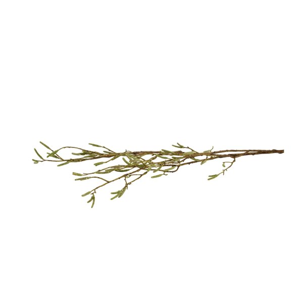 Birkegren <br><br> L 100 cm <br><br> 