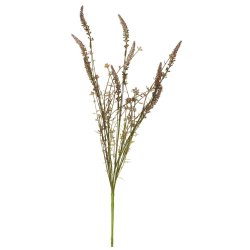 Stilkeblomst <br><br> brunlige nuancer <br><br> 