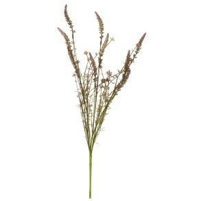 Stilkeblomst <br><br> brunlige nuancer <br><br> 