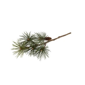 Fyrgran med kogler <br><br> L 65 cm <br><br>