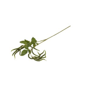 Raklegren <br><br> Gr�n <br><br> L 90 cm <br><br> 
