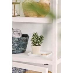 Sukkulenter i potte <br><br> St m. 2 slags <br><br> 