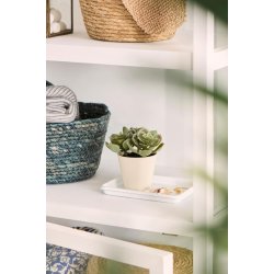 Sukkulenter i potte <br><br> St m. 2 slags <br><br> 