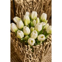 Tulipaner i bundt <br><br> Hvid <br><br> 32 cm <br><br>
