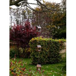 3 x h�nge lanterner p� k�de <br><br> 1 meter <br><br> Kobbber <br><br>