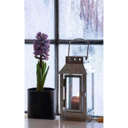 Micro small lanterne <br><br> 9,5 x 9,5 x 22 cm <br><br> Galvaniseret <br><br> 
