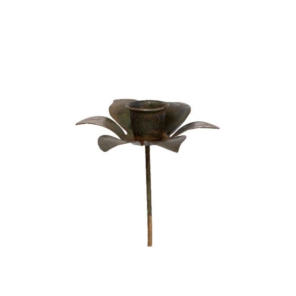 Carolina lysspyd <br><br> irgrn <br><br> 18 cm <br><br> 