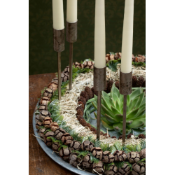 Cypres kogler <br><br> 2-4 cm <br><br> 10 stk. <br><br>